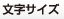 文字サイズ